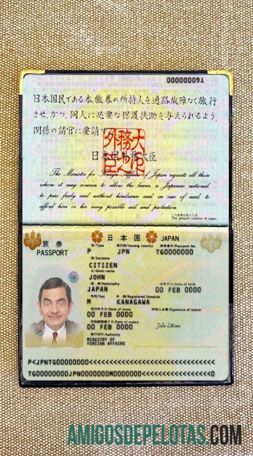 Passaporte do Japão 2005 2015 Visual fotográfico amostra